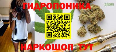 стафф Долгопрудный