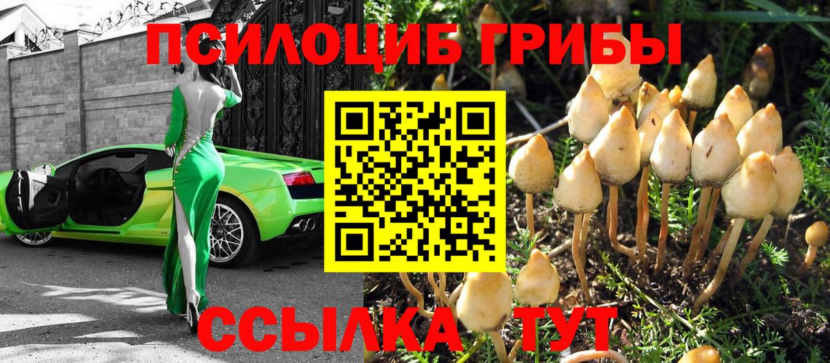 Каннабис  НБОМе  МЕФ кристаллы  Баксан  Вход с VPN  ГАШИШ 