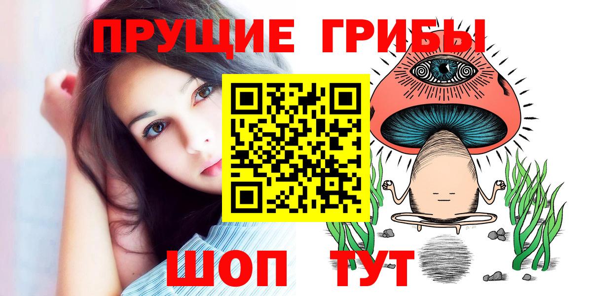 Псилоцибиновые грибы MAGIC MUSHROOMS  Вход с VPN  Баксан 